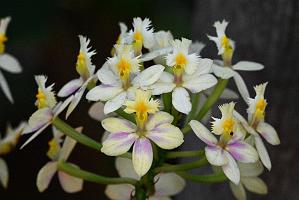 2025-02226054 Tower Hill Botanic Garden, MA